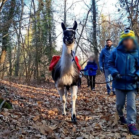 Bilocale Con Giardino A Due Passi Dal Appartamento Oleggio Castello